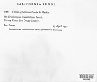 Image Associated With the Occurence